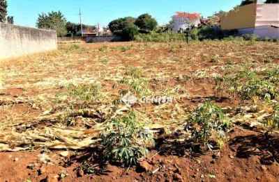 Terreno à venda na Rua Pedro de Toledo, Jardim Dom Bosco, Indaiatuba