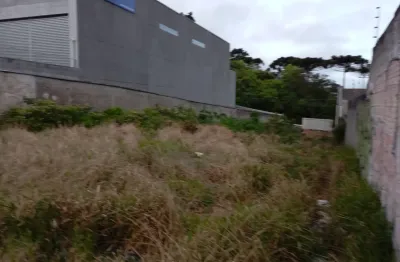 Terreno à venda na Avenida Jacob Macanhan, Emiliano Perneta, Pinhais