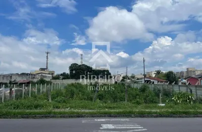 Terreno comercial para alugar na rua quirino zagonel, itália, são josé dos pinhais por r$ 4.350