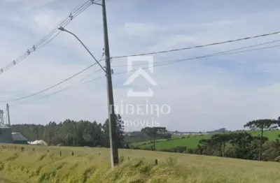 Terreno à venda na jose adamowicz, 239, centro, reserva por r$ 13.600.000