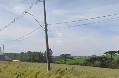 Terreno à venda na jose adamowicz, 239, centro, reserva por r$ 13.600.000