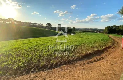 Terreno à venda na rua júlio césar setenareski, 100, colônia mergulhão, são josé dos pinhais por r$ 4.800.000