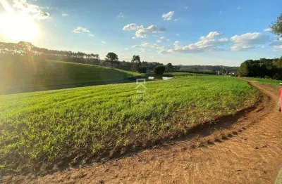 Terreno à venda na rua júlio césar setenareski, 100, colônia mergulhão, são josé dos pinhais por r$ 4.800.000