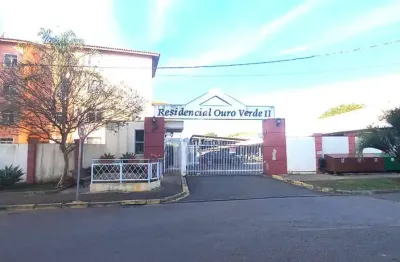 Apartamento com 3 quartos para alugar na rua professora magali aparecida pampuch, 218, pedro moro, são josé dos pinhais por r$ 1.500