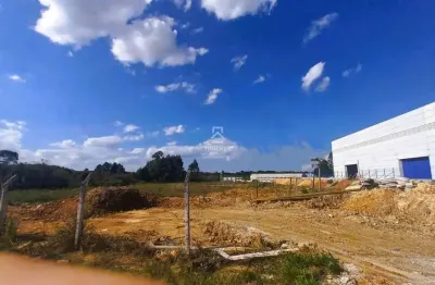Terreno comercial para alugar na rua sebastião souza côrtes, 687, campo largo da roseira, são josé dos pinhais por r$ 12.550
