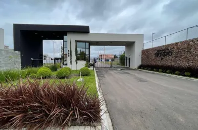 Terreno à venda na rua oristela foggiatto, 580, costeira, são josé dos pinhais por r$ 233.988