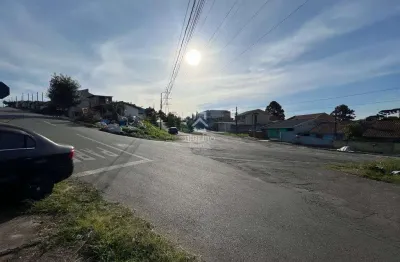Terreno à venda na rua joaquim ferreira das dores, 168, santo antônio, são josé dos pinhais por r$ 240.000