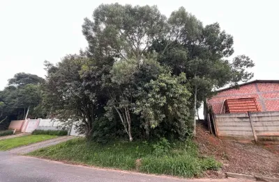 Terreno à venda na avenida alzira berton pauletto, del rey, são josé dos pinhais por r$ 200.000