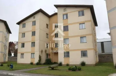 Apartamento com 2 quartos para alugar na rua josé dolcídio paris, 70, iná, são josé dos pinhais por r$ 1.200