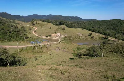 Fazenda à venda na rural, 1, zona rural, são josé dos pinhais por r$ 20.900.000