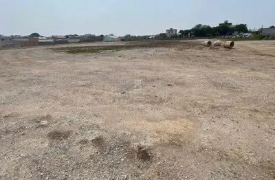 Terreno comercial para alugar na rua ponta grossa, ouro fino, são josé dos pinhais por r$ 15.000