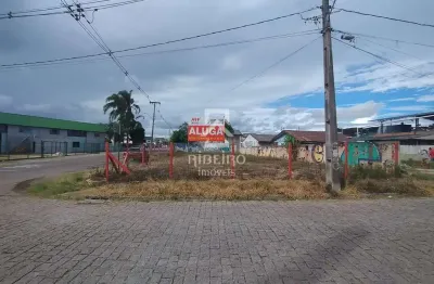 Terreno comercial para alugar na rua salomão miguel nasser, 1811, guatupê, são josé dos pinhais por r$ 2.000