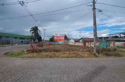 Terreno comercial para alugar na rua salomão miguel nasser, 1811, guatupê, são josé dos pinhais por r$ 2.000