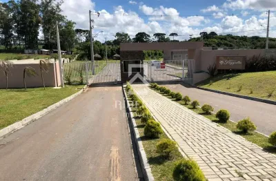 Terreno à venda na rua regina stuzinski ramos, 40, costeira, são josé dos pinhais por r$ 250.000