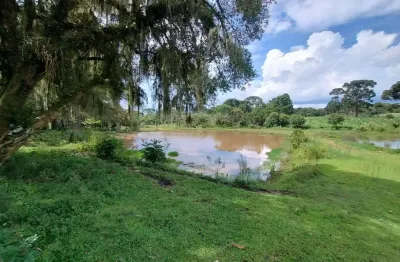 Chácara / sítio com 3 quartos para alugar na rua henrique cetnarski, 330, colônia malhada, são josé dos pinhais por r$ 7.000