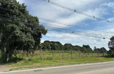 Terreno comercial para alugar na alameda bom pastor, costeira, são josé dos pinhais por r$ 40.000
