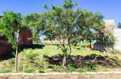 Terreno à venda no Horizonte, Sapiranga 