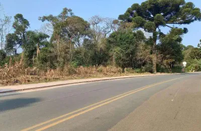 Terreno à venda na Avenida Wadslau Bugalski, 3600, Lamenha Grande, Almirante Tamandaré