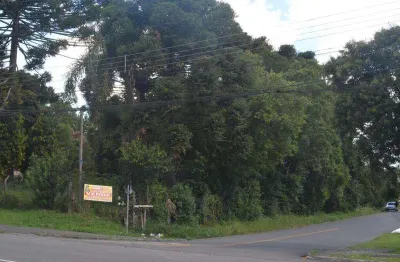 Terreno comercial para alugar na Avenida Prefeito Maurício Fruet, 3370, Cajuru, Curitiba