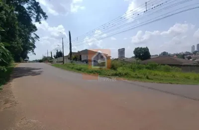 Terreno à venda na Rua Doutor Luiz Conrado Mansani, sem número, Oficinas, Ponta Grossa