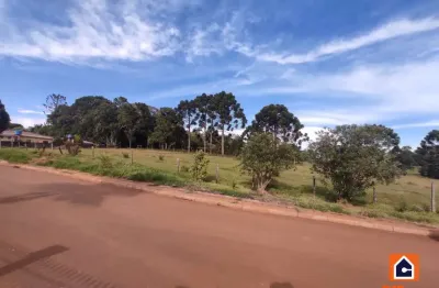 Chácara / sítio à venda na Avenida Epitácio Pessoa, Chapada, Ponta Grossa