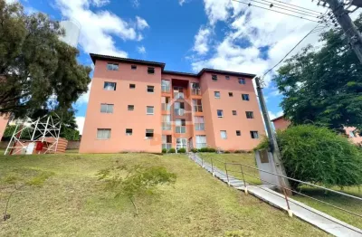 Apartamento com 2 quartos para alugar na Rua Conrado Schiffer, 350, Estrela, Ponta Grossa