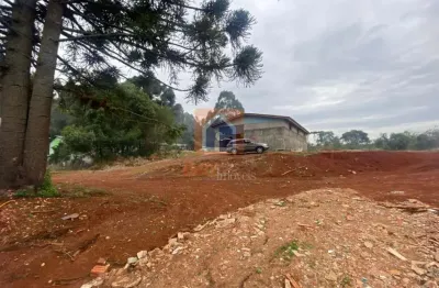 Barracão / Galpão / Depósito para alugar na Rua Dalila Marcondes, s/n, Cará-cará, Ponta Grossa