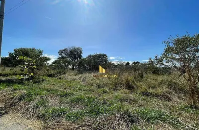Terreno comercial à venda na Rua Papagaio, 96, Vila dos Ipês, Lagoa Santa