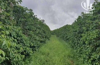 Fazenda à venda, 1260000 m² - zona rural - são gonçalo do sapucaí/mg