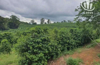 Fazenda à venda, 1260000 m² por R$ 21.000.000,00 - Zona Rural - São Gonçalo do Sapucaí/MG