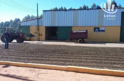 Fazenda à venda, 8000000 m² por r$ 32.000.000 - vila pinto - varginha/mg