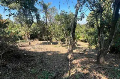 Chácara com 5 dormitórios à venda, 5000 m² - borda mata - jaguariúna/sp