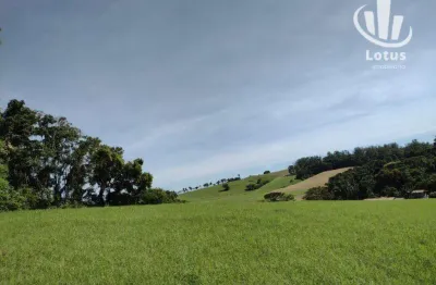 Sítio à venda, 69575 m² por r$ 1.600.000,00 - vale verde - santo antônio de posse/sp