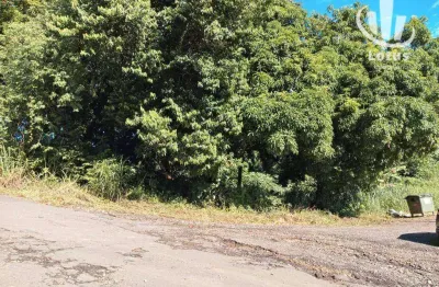 Terreno à venda, 1537 m² - chácaras santo antônio do jardim - jaguariúna/sp