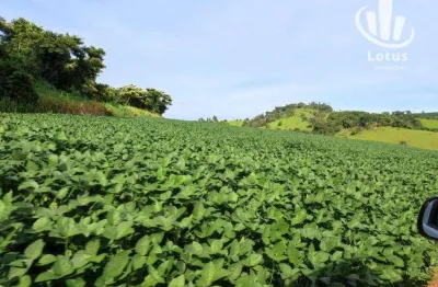 Fazenda à venda, 3000000 m² por - centro - divisa nova/mg