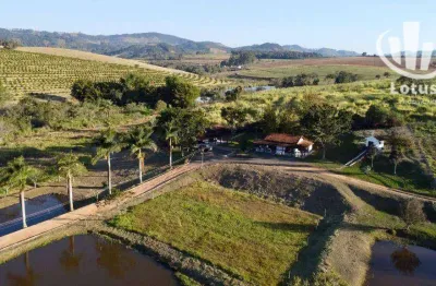 Sítio à venda, 157300 m² por r$ 2.900.000,00 - zona rural - ouro fino/mg