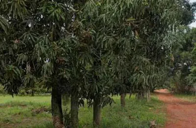 Terreno à venda no Bananal, Campinas 