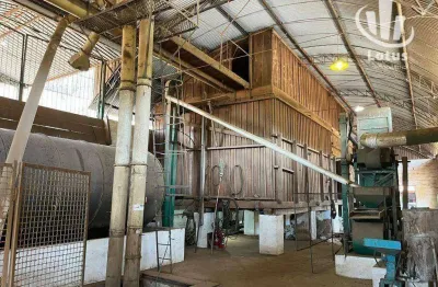 Fazenda à venda na Zona Rural, Santa Rita do Sapucaí 