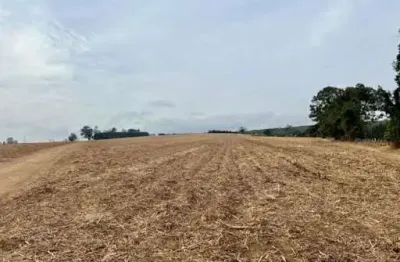 Fazenda à venda na Zona Rural, Brotas 