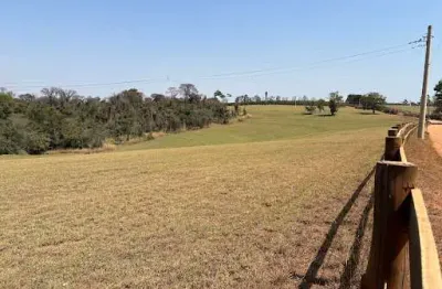 Sítio à venda, 9 hectares de feno produzindo.... por r$ 2.500.000 - pedra branca - santo antônio de posse/sp
