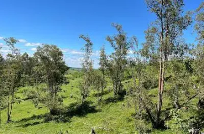 Área à venda, 40000 m² por R$ 4.500.000,00 - Centro - Pedreira/SP