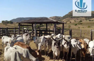 Fazenda à venda, em cajuru a 70 km de ribeirão preto, 120 alqueires paulista.