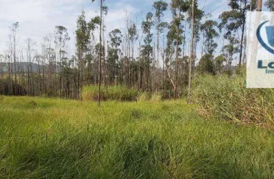 Sítio à venda, 32600 m² por r$ 1.000.000,00 - centro (três pontes) - amparo/sp