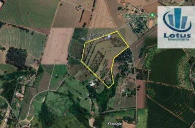 Sítio à venda, 146000 m² por r$ 5.000.000,00 - guedes - jaguariúna/sp