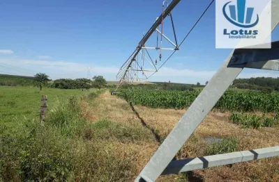 Fazenda à venda na Zona Rural, Vargem Grande do Sul 