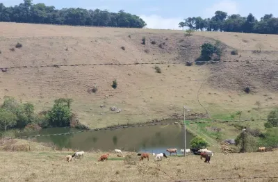 Chácara / sítio à venda no centro, divinolândia , 30000 m2 por r$ 1.150.000