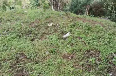 Terreno à venda no jardim quisisana, poços de caldas  por r$ 250.000