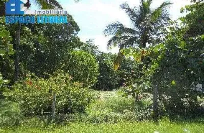 Terreno à venda no porto novo, caraguatatuba  por r$ 15.000.000