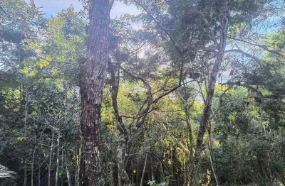 Terreno à venda no cigarras, são sebastião  por r$ 250.000