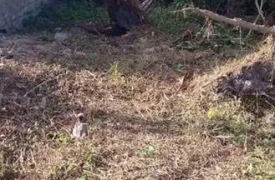 Terreno à venda no jardim das gaivotas, caraguatatuba  por r$ 440.000
